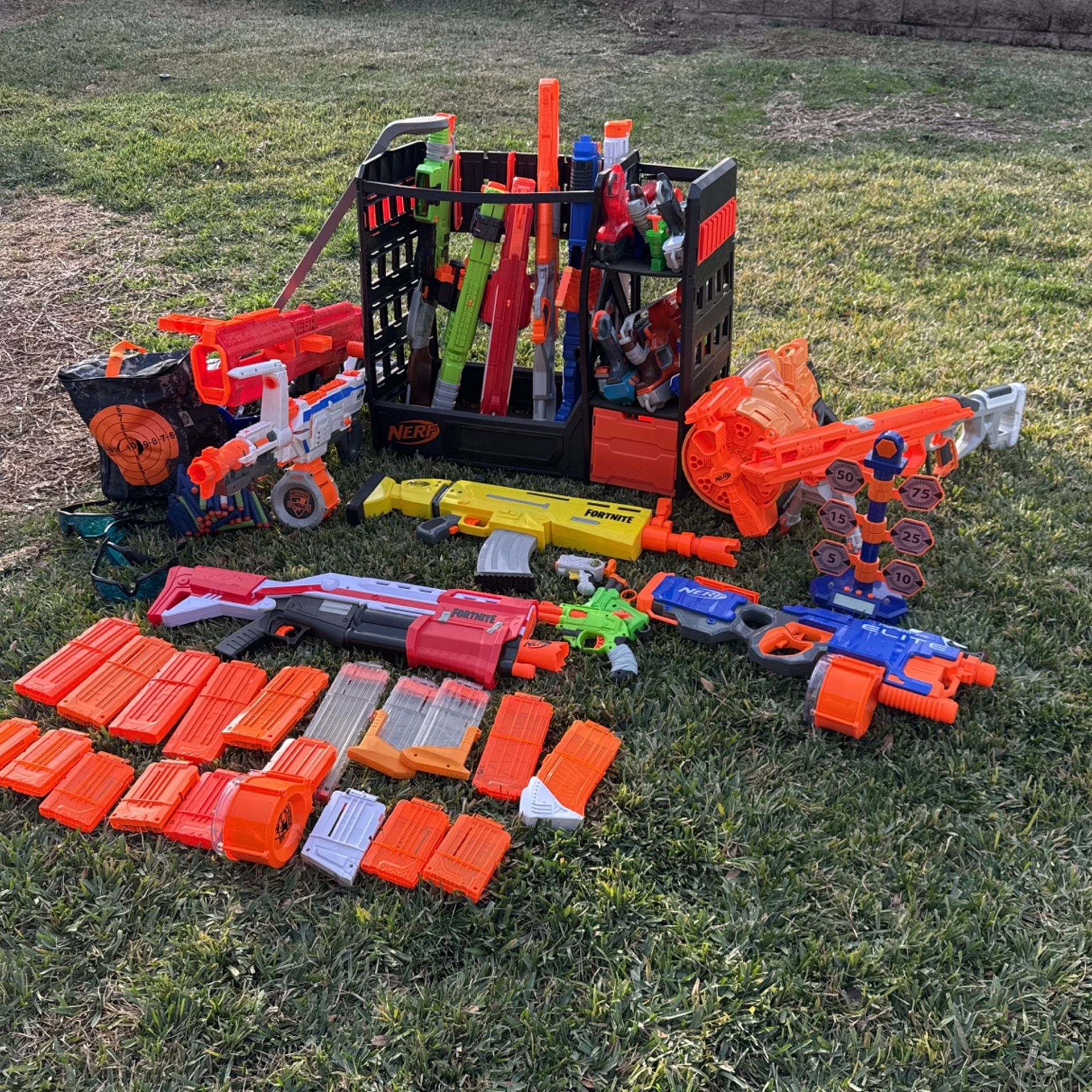 Nerf Guns (25)
