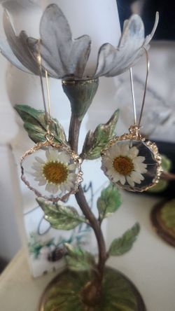 New Real Daisy Earrings