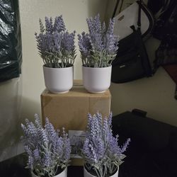Decoracion