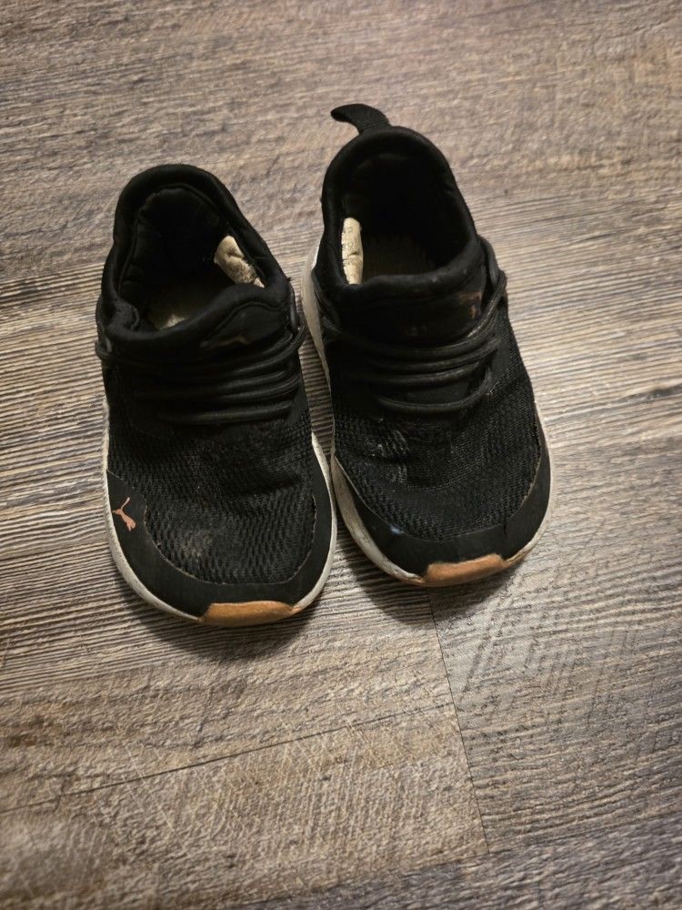 Pumas