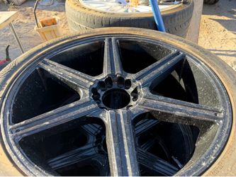 Rines 24s