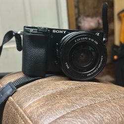 Sony A6100 (with Battery) (264 GB SD card) (Camera Case)