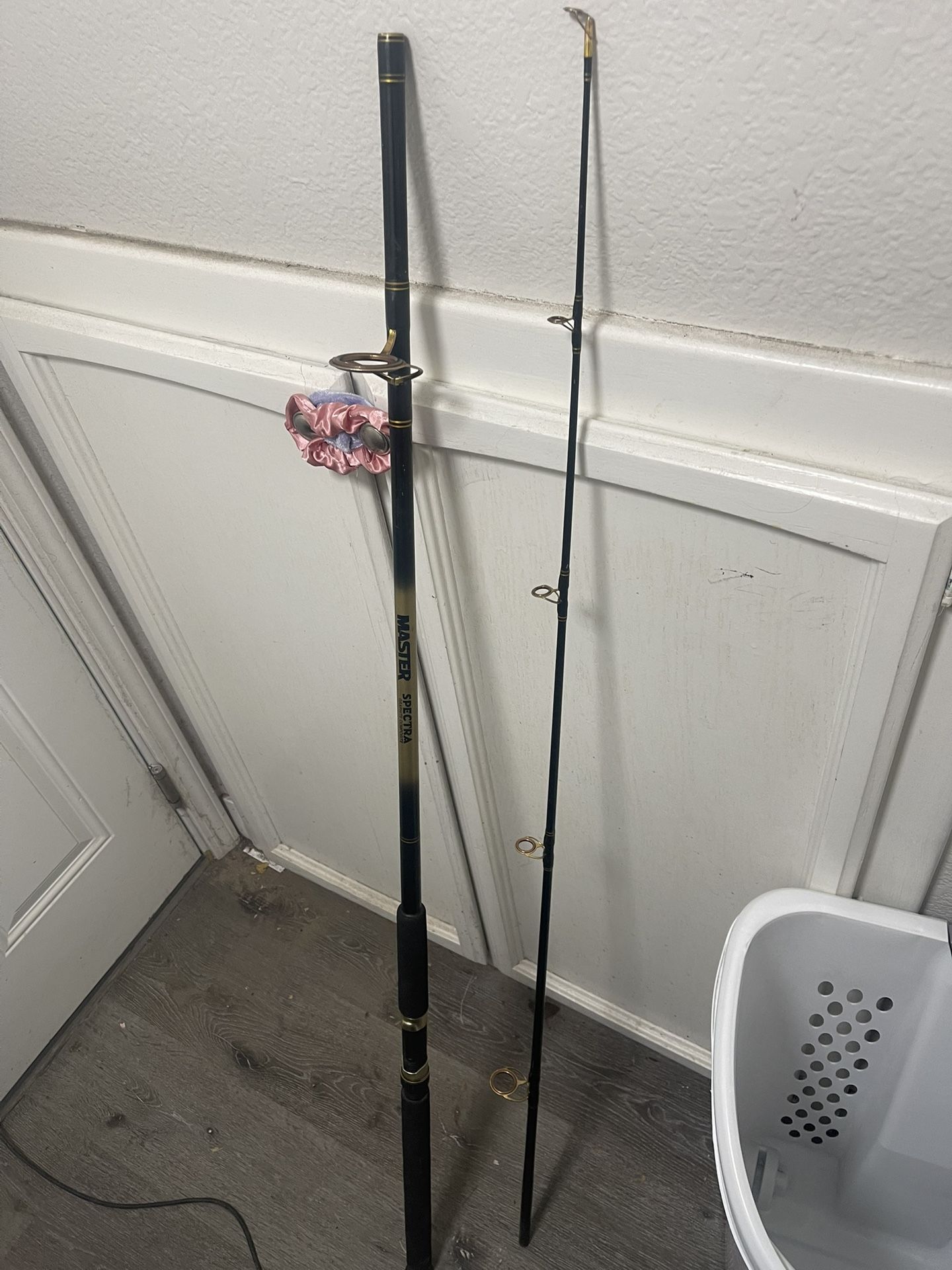 Master Spectra 9ft Fishing Rod