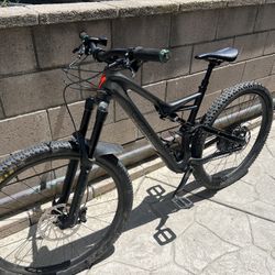 Specialized Stumpjumper, Large Men’s