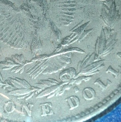 Silver dollar