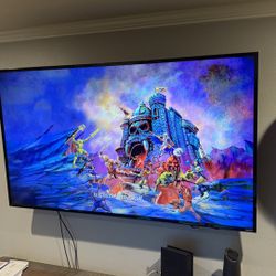 65” Vizio Tv