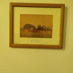 Anne Geddes Picture Of Baby Porcupines