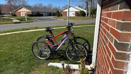 Two bikes for sale