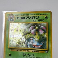 Erika’s Ivysaur Japanese