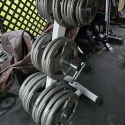 Weight Olympic Plates 