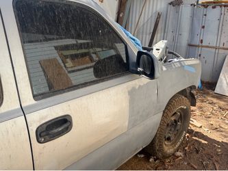 Paint sprayer magnum