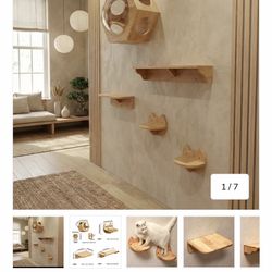 Cat wall mount shelves