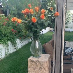 Two Dozen Forever Orange Roses 