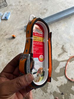 Dog collar like new in package