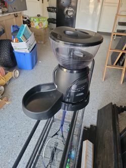 Auto Dog/cat Feeder