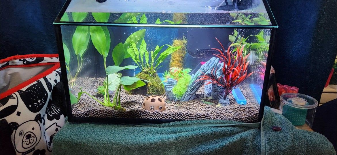 8.75 Gallon Aqueon Led Shrimp Kit