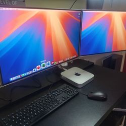Apple Mac Mini System Complete - Dual 24" Widescreens, Keyboard And Mouse $280