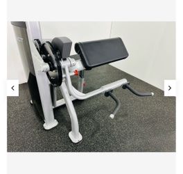 Nautilus Instinct Biceps Curl/Triceps Extension