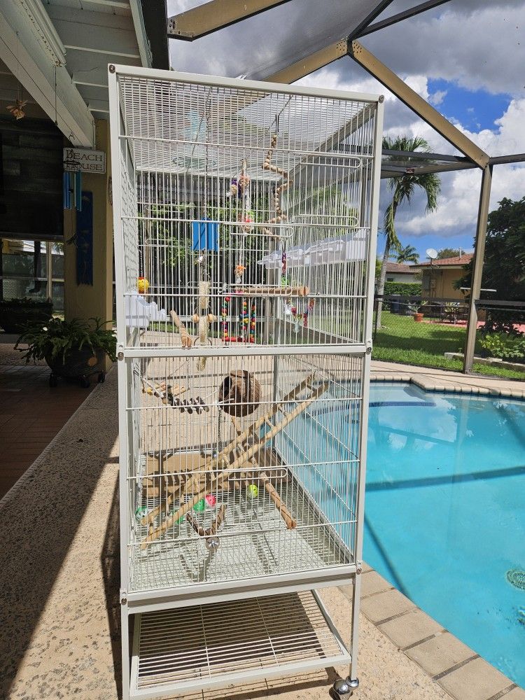 Bird Cage Jaula De Pajaros