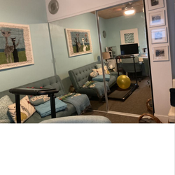 Metallic Mirror Closet Doors