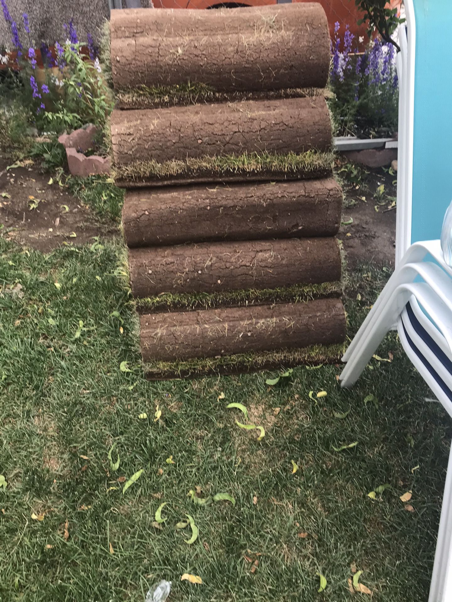 Selling Sod