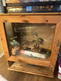 Reptile Home