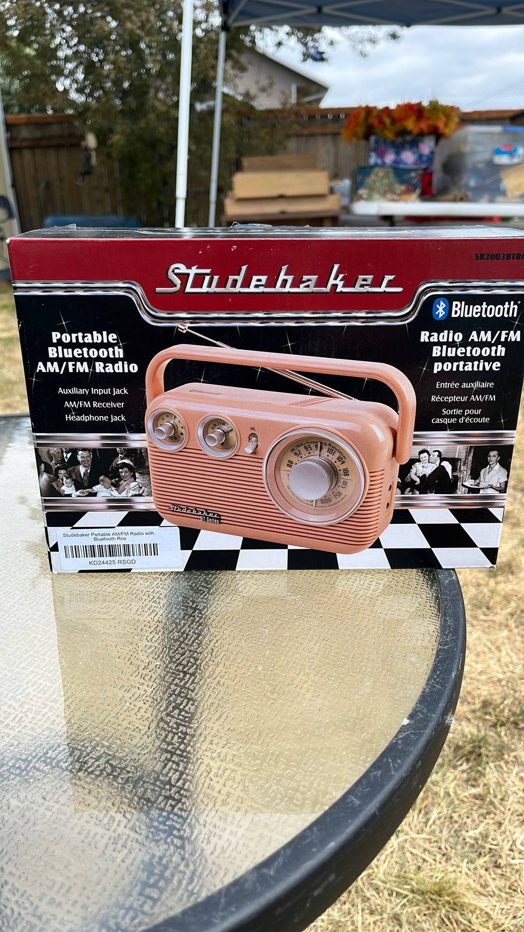 Portable Radio