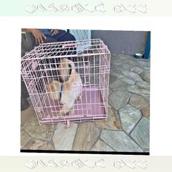 Tough Metal Dog Crates - Dependable and Secure success send