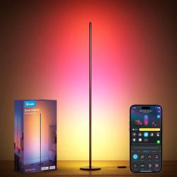 Govee RGBIC Floor lamp X 2