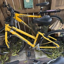 Three bikes for sale