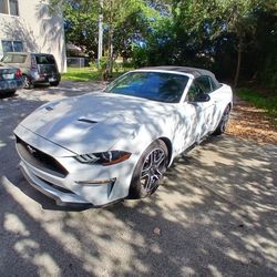 2022 Ford Mustang