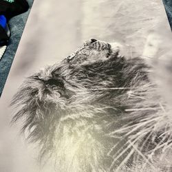 Lion Canvas 