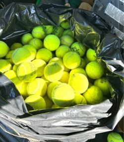 Used Tennis Balls Bulk Lot
