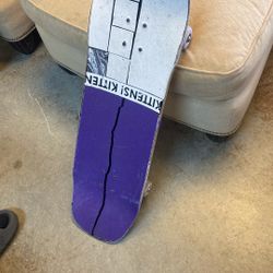 Skate Board Kittens Kitten 