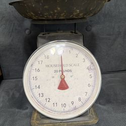 Decorative Scale 