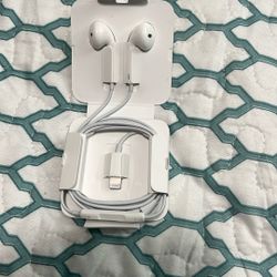 Apple  Ears buds