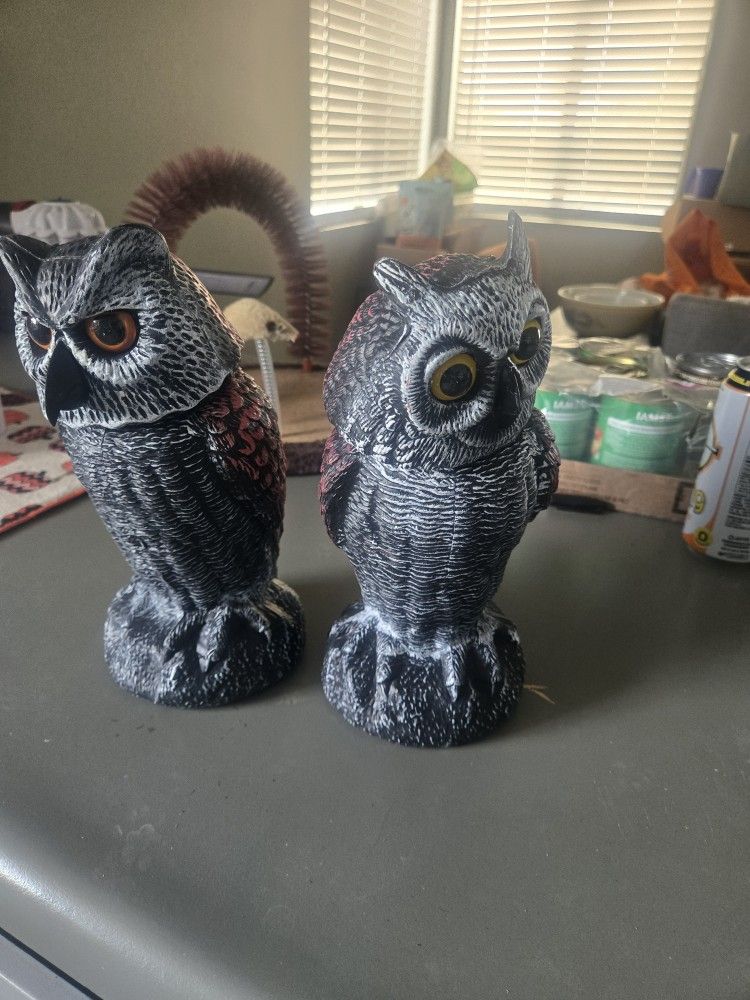Owl Pigeon Deterrent