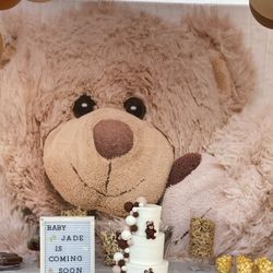 Teddy Bear Backdrop 