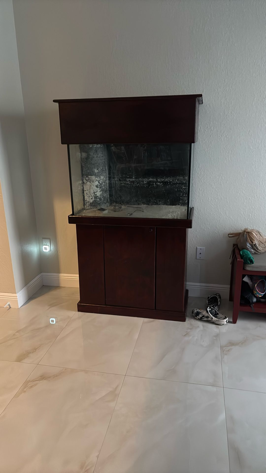 Salt Water Fish Tank