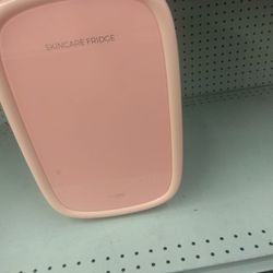 Skin Care Fridge 