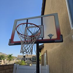 Basketball  - Portable Hoop