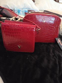Vanessa Williams cosmetic care pouch and handbag
