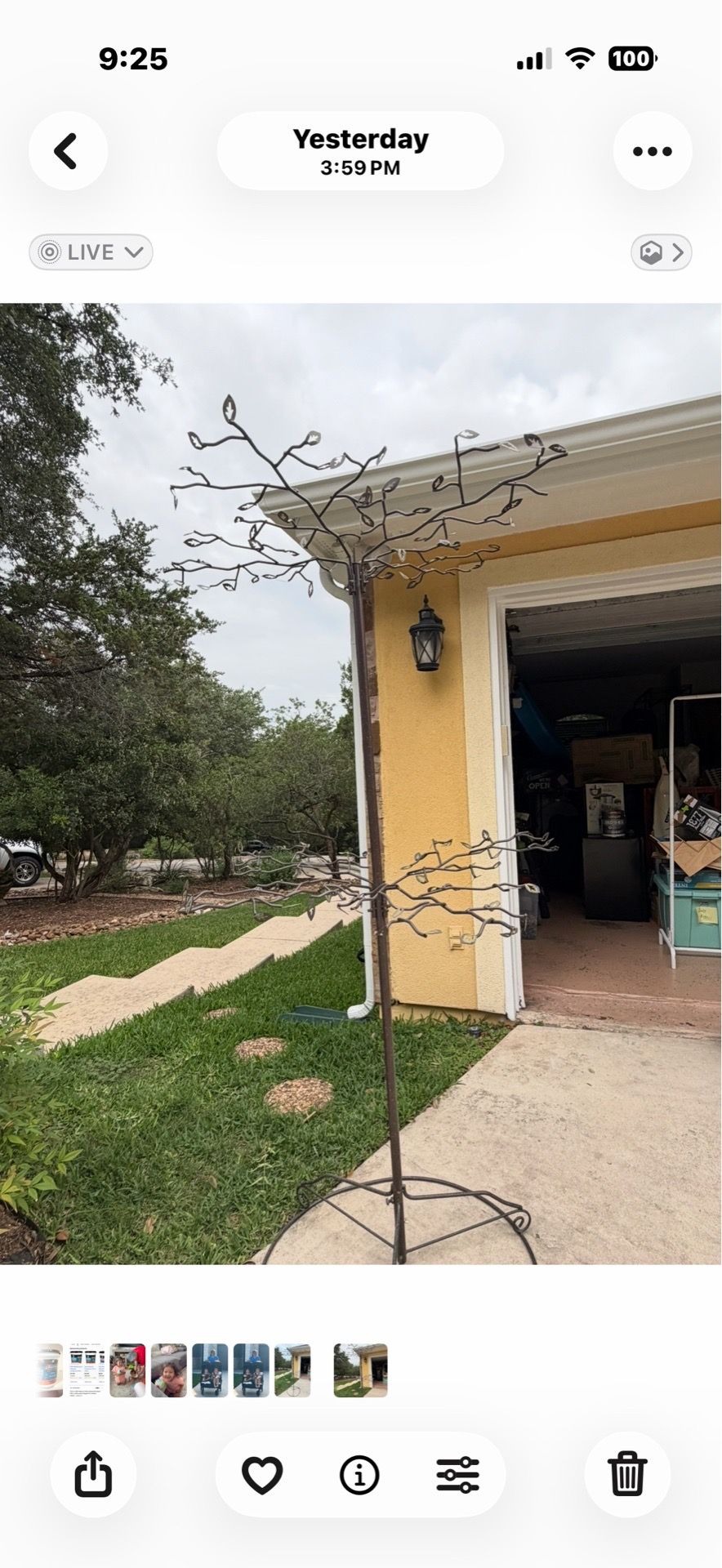 Metal Tree Shape Stand Holder