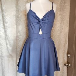 Medium Blue Skater Dress