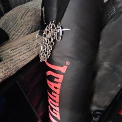 Everlast Punching Bag
