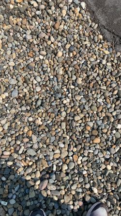 FREE***River Rock****FREE