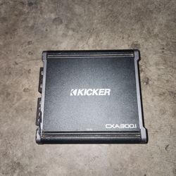 CX300.1 Mono Amplifier