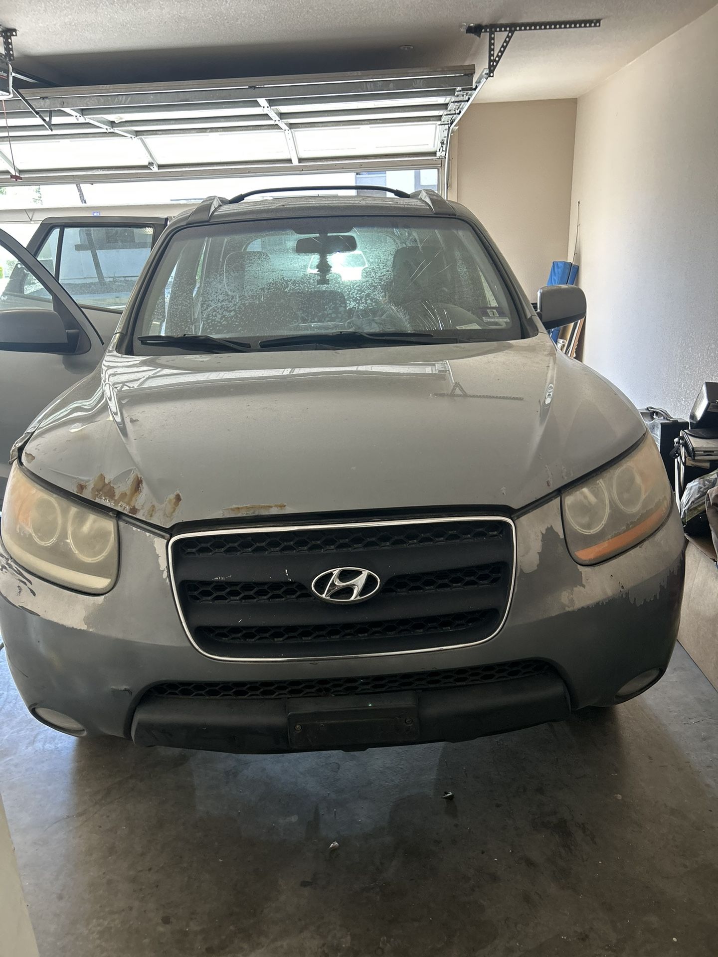 2009 Hyundai Santa FE
