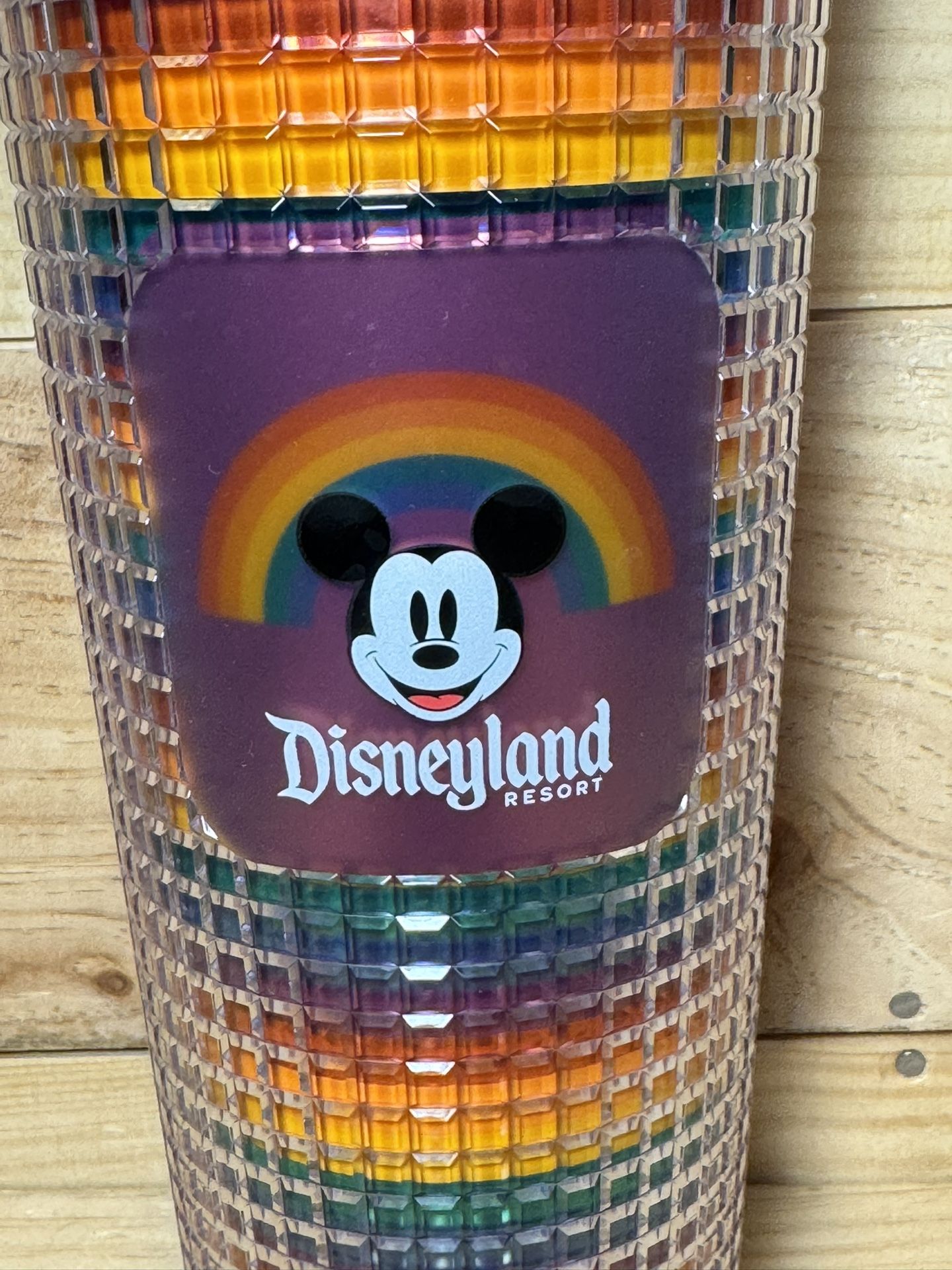 New 2024 Starbucks Disneyland Disney Pride Collection Venti Tumbler/Straw 24 oz