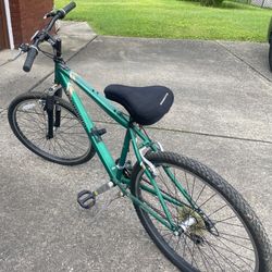 Mens Bike